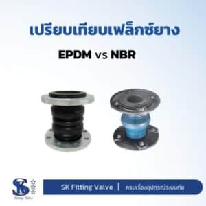 Epdmvsnbr cover2