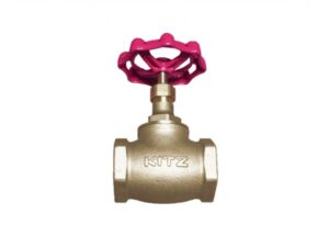 Globe Valve
