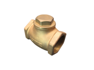 Check Valve